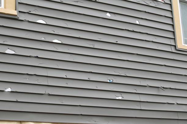 Best Historical Building Siding Restoration  in Redmond, WA
